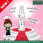 ภาพโปรโมทแพ็คเก็จใหม่05 ภาพโปรโมทแพ็คเก็จใหม่05